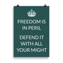 Freedom is in peril Poster