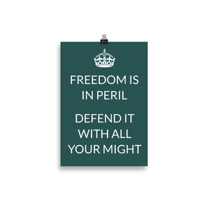 Freedom is in peril Poster